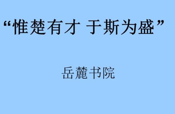 惟楚有材于斯为盛的意思是什么（惟楚有材于斯为盛的意思是什么呢）