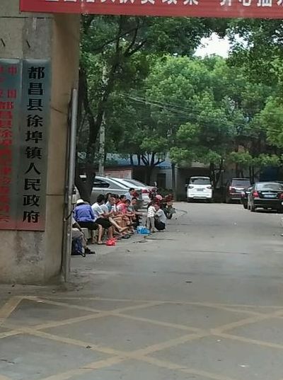 都昌政府网（都昌政府网 任命 邵东东）