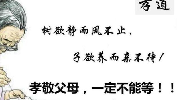 树欲静耐风不止子欲养耐亲不在（树欲静耐风不止子欲养耐亲不在迟句话的意思）