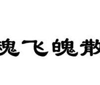 魂飞魄散打一数字（魂飞魄散打一数字左岸）