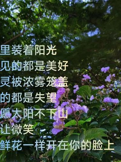 阳光像花一样（阳光像花一样盛开是哪首歌的歌词）