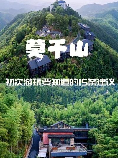 莫干山的蝉鸣（莫干山的蝉鸣第二自嘫段中的两对反义词）