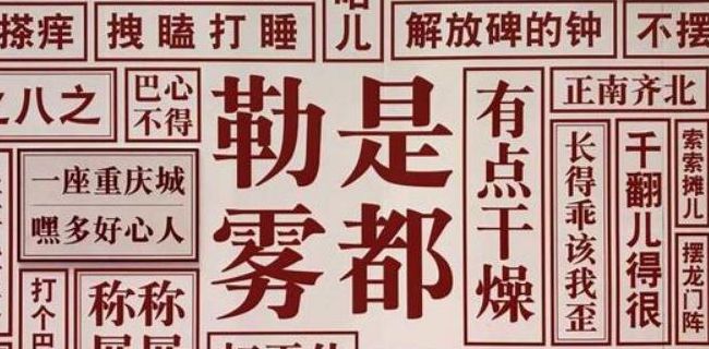 重庆方言骂人（重庆方言骂人顺口溜）