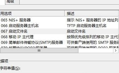 主机域名（主机域名publictpttjcn中的主机名）