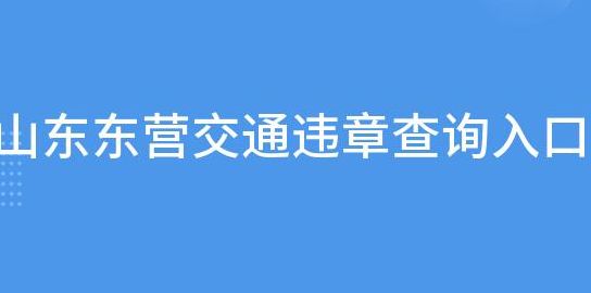 东营市汽车违章查询（东营汽车违章查询在线查询）