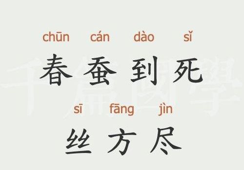 春蚕象征（春蚕象征着什么四个字成语）