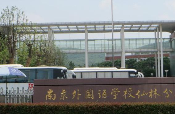 南京仙林外国语小学（南京仙林外国语小学地址）