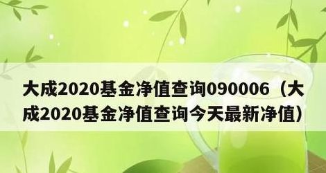 090006基金净值（090006基金净值查询今天最新净值4600011）