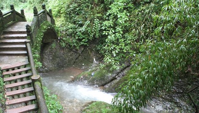 青城山后山（青城山后山旅游攻略一日游）