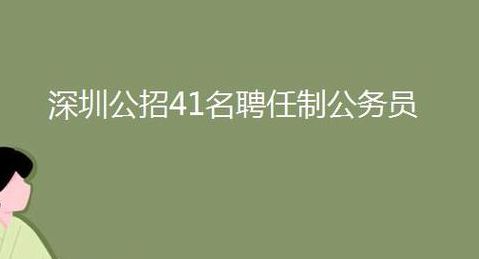 深圳聘任制公务员（深圳聘任制公务员招聘公告）