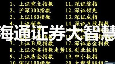 海通证券大智慧2008专业版下载（海通证券大智慧5997下载）