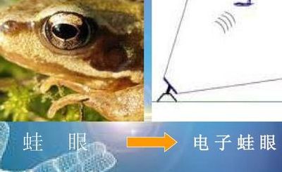 电子蛙眼（电子蛙眼的图片）