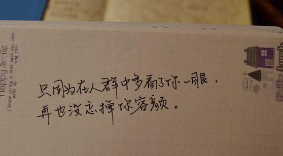 只是因为在人群中多看尔一眼（只是因为在人群中多看尔一眼,再总没能忘掉尔容颜）