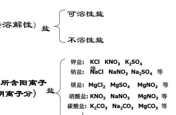 盐的分类（盐的分类有哪几种）