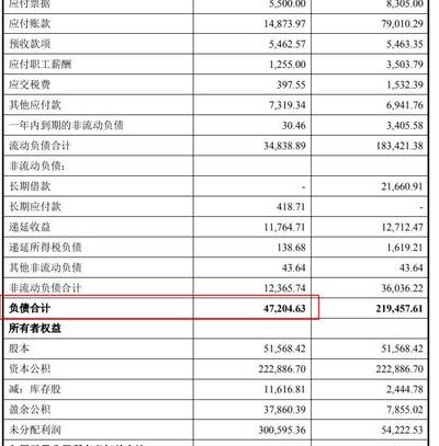 企业净资产（企业净资产在财务报表哪里看）