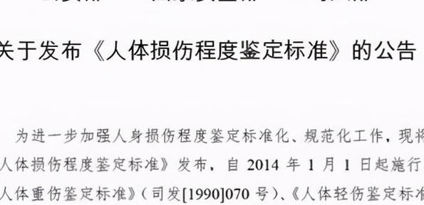 法医鉴定重伤标准（法医重伤鉴定新标准）