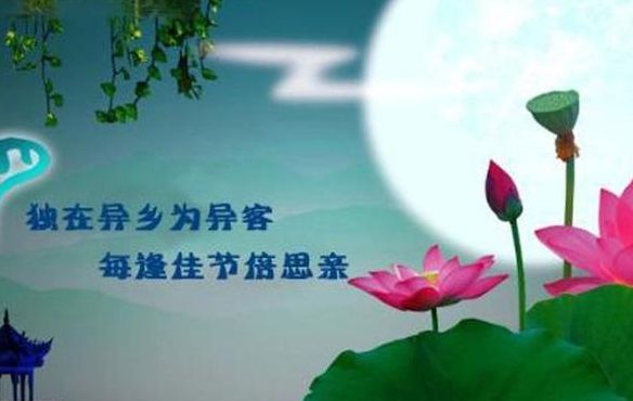 每逢佳节倍思亲的上一句是什么（每逢佳节倍思亲的上一句是什么独在异乡为异客）