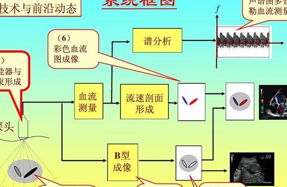 医学成像系统（医学成像系统的共性组成部分）