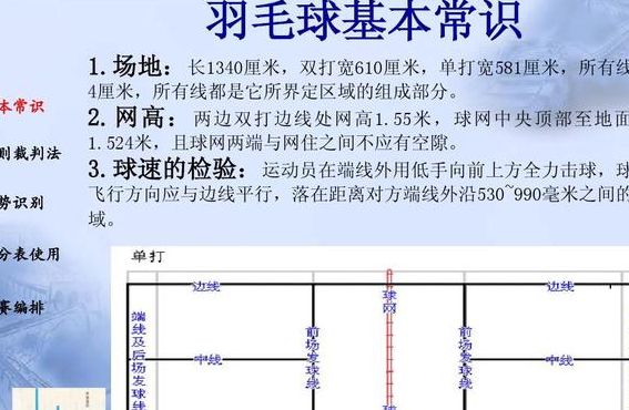 羽毛球网高多少（女子羽毛球网高多少）