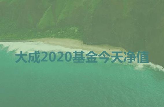 基金大成2020（基金大成2020今天净值）