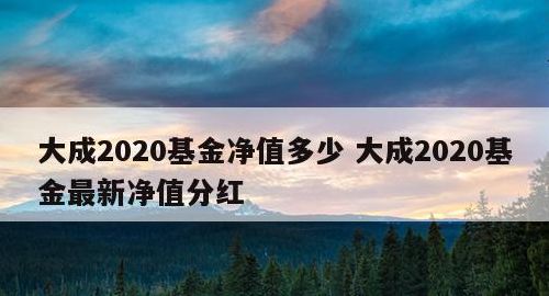 基金大成2020（基金大成2020今天净值）