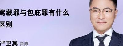 包庇罪司法解释（包庇罪司法解释2020）