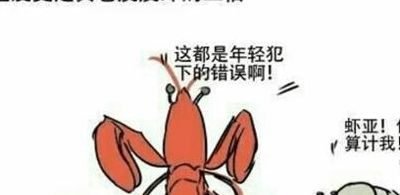 皮皮虾是什么梗的简单介绍