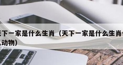 天下一家是什么生肖（天下一家是什么生肖什么数字）