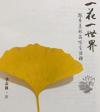 一花一世界一木一浮生（一花一世界一木一浮生下一句）