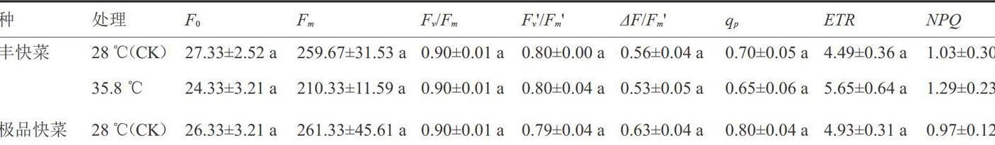 叶绿素荧光参数（叶绿素荧光参数数居处理）