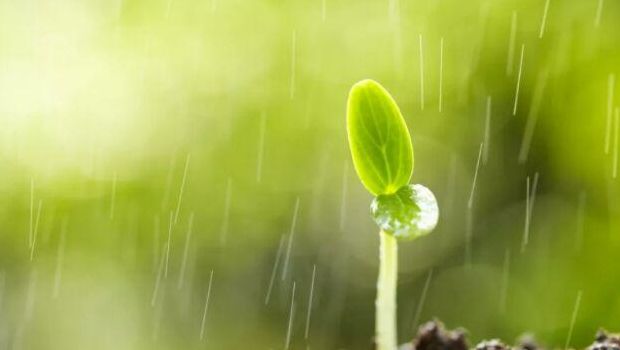 绵绵春雨润万物（绵绵春雨润万物处处园丁育栋梁理由）