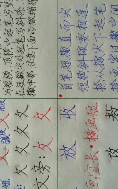 反文旁的字（反文旁的字100个）