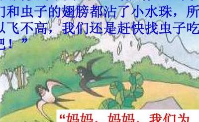 是谁告诉蝉要下雨予（是谁告诉蝉要下雨予二年级下册）