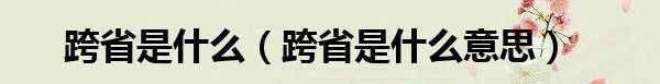 跨省是什么意思（跨省是什么意思啊）