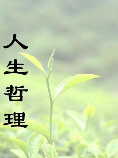 感触颇多（感触颇多和感慨颇多）