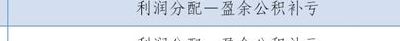 盈余公积提取比例（资本公积盈余公积提取比例）