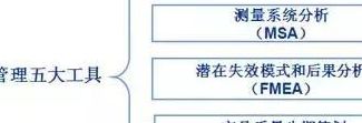 缺陷管理工具（缺陷管理工具有哪两种）
