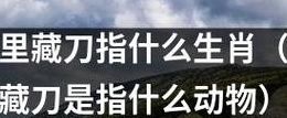 笑里藏刀打一最佳生肖（笑里藏刀打一最佳生肖2023年）