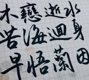 早悟兰因（早悟兰因不结絮果下一句）