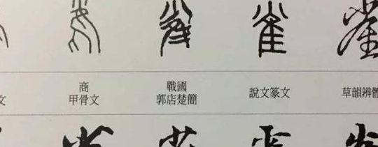 雀的结构（雀的结构和部首是什么意思）