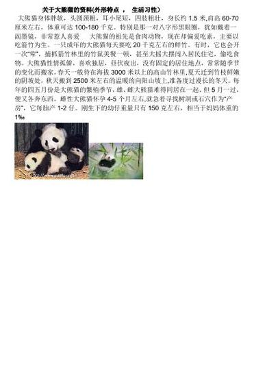 熊猫的特点（熊猫的特点和外貌描写说明文）