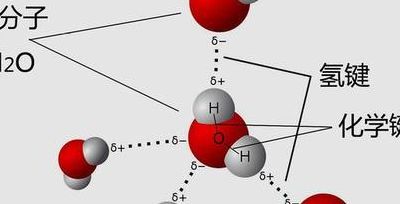 分子内氢键的简单介绍