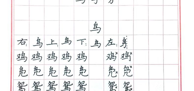 鸟字旁的字有哪些字（鸟字旁的字有哪些字三年级）