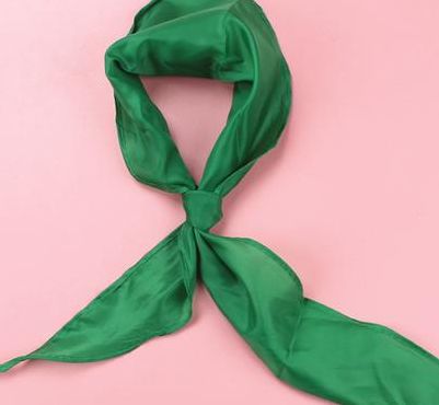 绿领巾的含义（绿领巾长什么样子）