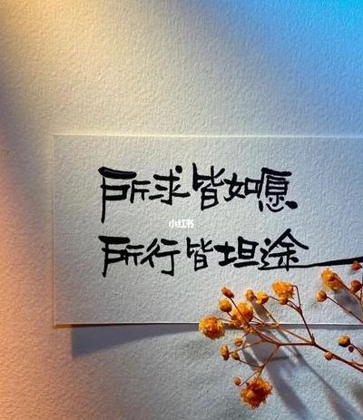 所求皆所愿（所求皆所愿所愿皆所得什么意思）