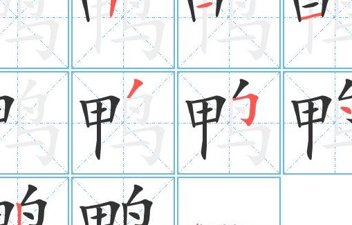 鸭的部首（鸭的部首叫什么名字）