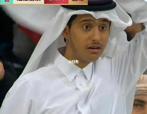 卡塔尔有几个王子（卡塔尔有几个王子图片）
