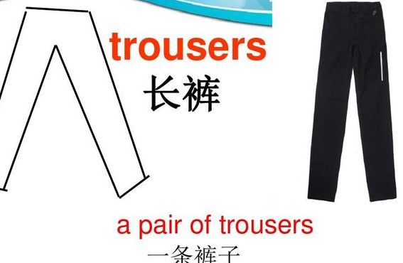 裤子英语（裤子英语怎么读trouser）