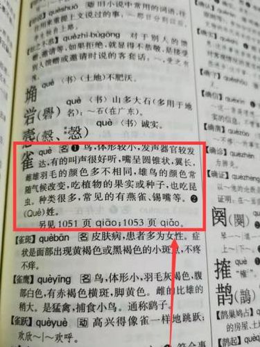 雀的偏旁是什么（雀的偏旁是什么部首是什么）