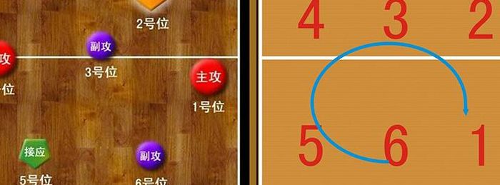 排球自由人是干什么的（排球站位图解6人和换位规则）